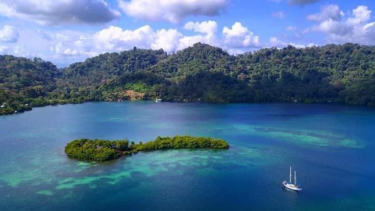 Rainforest and Caribbean water in Bocas del Toro, featured in the HERO website